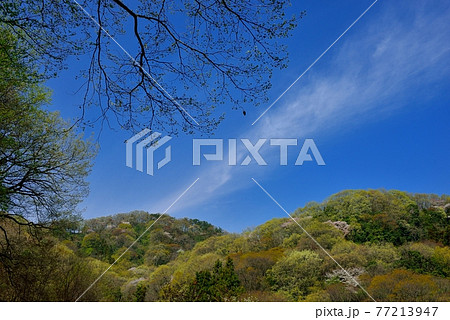 深谷市の鐘撞堂山　Mt. Kanetukido   in  Fukaya 77213947