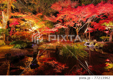 聚遠亭 聚遠亭 77213962