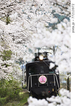 大井川鐵道沿線の旅 春の大和田駅 大井川鐵道沿線の旅 春の大和田駅 77213972