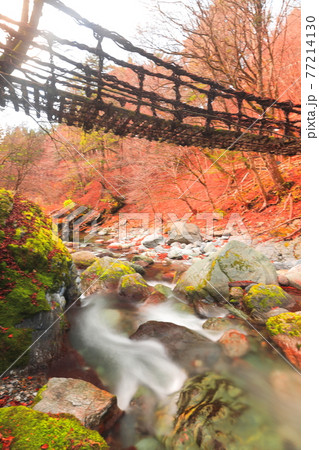 二重かずら橋 77214130