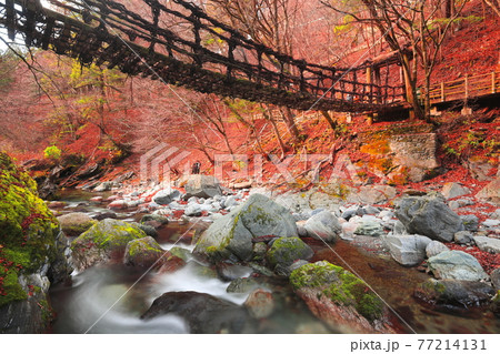 二重かずら橋 77214131