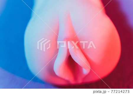 Close-up of male sex toy, realistic vagina masturbator. Close-up of male sex toy, realistic vagina masturbator. 77214273