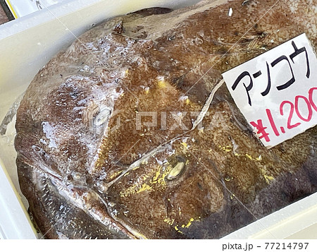 市場で見かけたアンコウ 市場で見かけたアンコウ 77214797