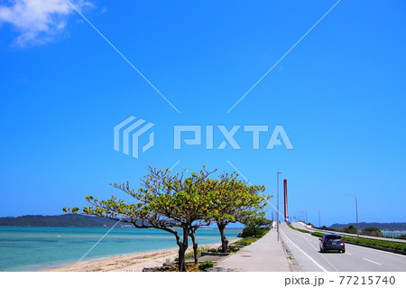 沖縄 春の海中道路 沖縄 春の海中道路 77215740