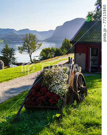 北欧ノルウェー フィヨルドのほとりの田舎風景 北欧ノルウェー フィヨルドのほとりの田舎風景 77215860