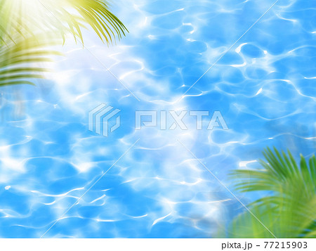 きらきら輝く水面とヤシの葉 - 複数のバリエーションがあります 77215903