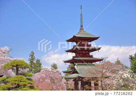 青森県弘前市 金剛山最勝院の五重の塔と境内 青森県弘前市 金剛山最勝院の五重の塔と境内 77216202