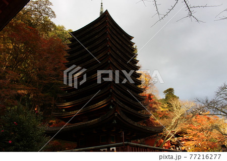 談山神社　十三重塔　秋　【奈良県】 77216277