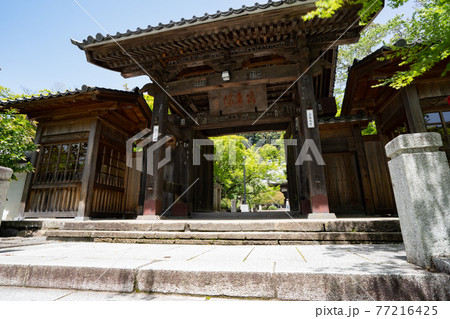 修禅寺＜静岡県伊豆市修善寺/4月＞ 77216425