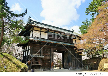 桜の名所　弘前公園 77216428