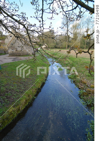 イギリスバイブリー イギリスバイブリー 77216498