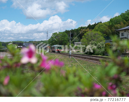 真岡鉄道 田植え時期 市塙駅周辺 真岡鉄道 田植え時期 市塙駅周辺 77216777