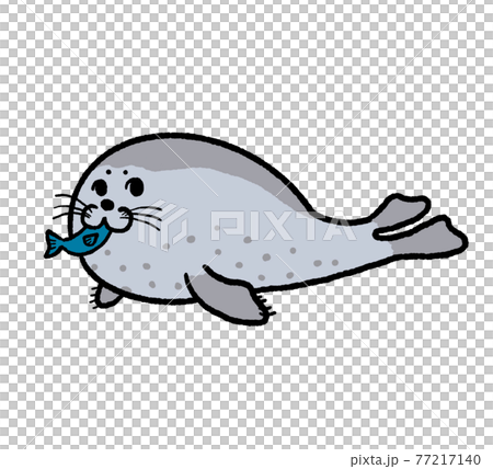 海豹吃魚的插圖 77217140
