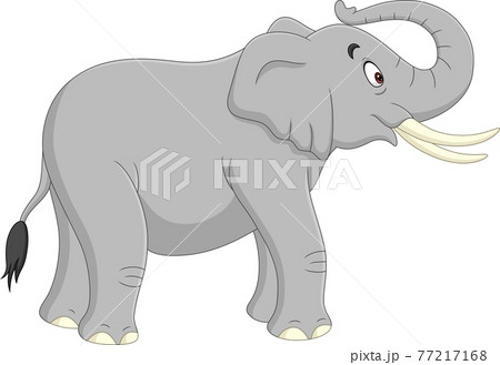 Cartoon elephant isolated on white background  77217168