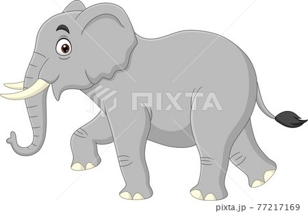 Cartoon elephant isolated on white background  77217169