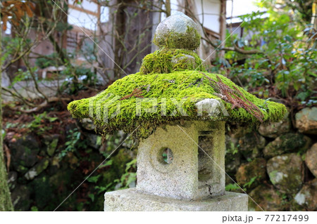 節分のころ(谷汲山華厳寺)・62(岐阜県揖斐郡揖斐川町谷汲) 節分のころ(谷汲山華厳寺)・62(岐阜県揖斐郡揖斐川町谷汲) 77217499