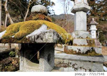 節分のころ（谷汲山華厳寺）・109（岐阜県揖斐郡揖斐川町谷汲） 77217546