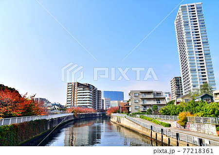 東海橋/目黒川より大崎方面を望む(東京都品川区)【2020.11】 東海橋/目黒川より大崎方面を望む(東京都品川区)【2020.11】 77218361