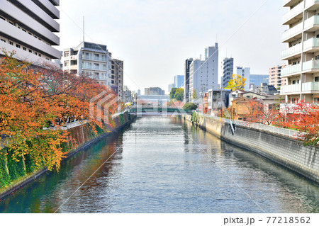 昭和橋／目黒川より目黒川上流／洲崎橋方面を望む(東京都品川区)【2020.11】 77218562