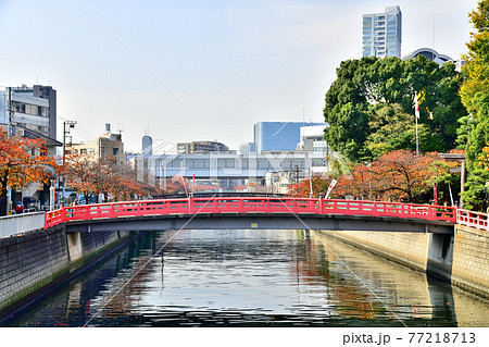品川橋/目黒川より新馬場駅方面を望む(東京都品川区)【2020.11】 品川橋/目黒川より新馬場駅方面を望む(東京都品川区)【2020.11】 77218713