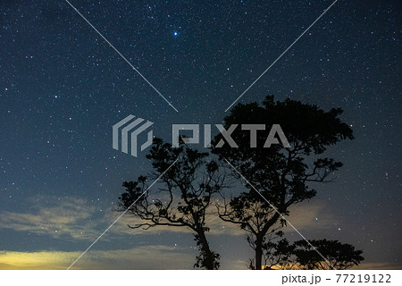秋吉台　満天の星 77219122