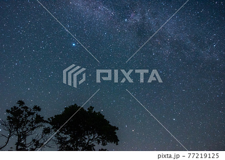 秋吉台　満天の星 77219125
