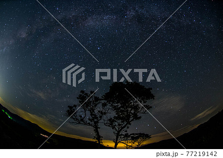 秋吉台　満天の星 77219142