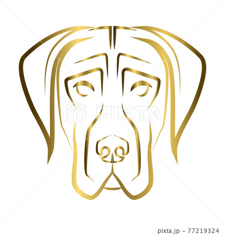 Gold Line Art Of Great Dane Dog Head Good Use のイラスト素材