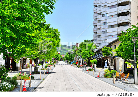 長野中央通り/善光寺方面を望む(長野県長野市)【2020.5】 長野中央通り/善光寺方面を望む(長野県長野市)【2020.5】 77219587