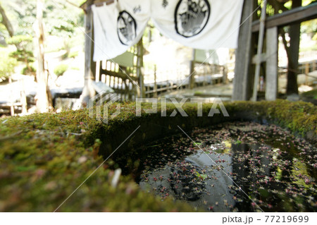 鳥取　四季の散歩　春　池田家墓所 77219699
