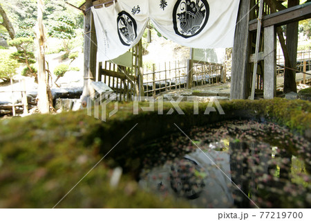 鳥取　四季の散歩　春　池田家墓所 77219700
