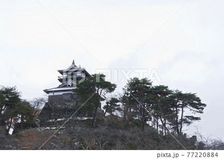 福井県坂井市冬の丸岡城 77220884