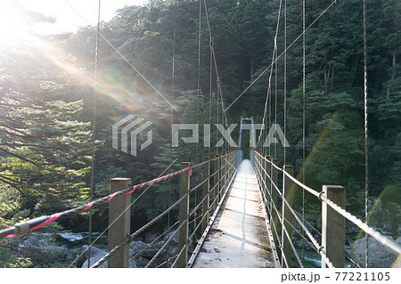 ヤクスギランド　沢津橋 77221105