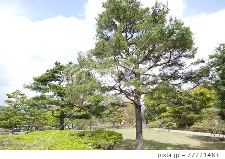 旧開智学校 長野県 旧開智学校 長野県 77221483