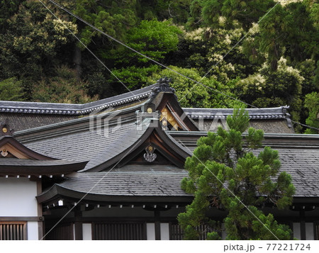 大神神社 新緑 大神神社 新緑 77221724