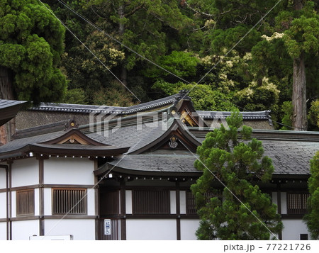 大神神社 新緑 大神神社 新緑 77221726