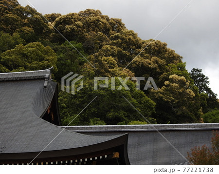大神神社　新緑 77221738