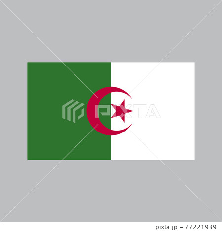 Algeria Flag with high detailed and accuracy. Flat and solid color vector illustration. Algeria Flag with high detailed and accuracy. Flat and solid color vector illustration. 77221939