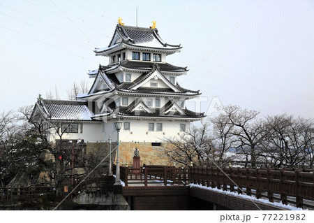 雪の墨俣一夜城・6(岐阜県大垣市墨俣) 雪の墨俣一夜城・6(岐阜県大垣市墨俣) 77221982