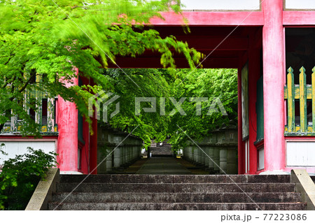 高山寺より 77223086