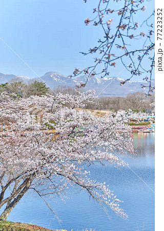 栃木県りんどう湖ファミリー牧場 栃木県りんどう湖ファミリー牧場 77223252