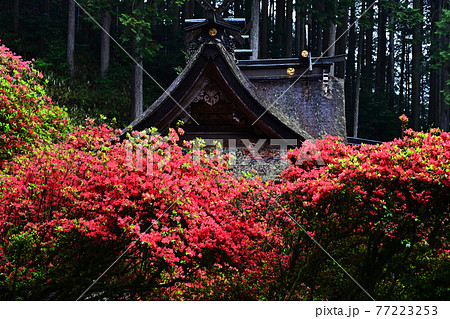 一ノ宮神社より 77223253