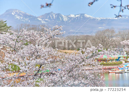 栃木県りんどう湖ファミリー牧場 77223254