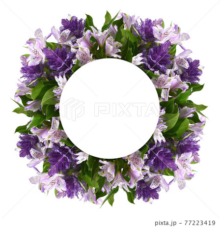 Purple alstroemeria and ornamental cale with green leaves in a floral frame with white round card for text isolated on white background 77223419