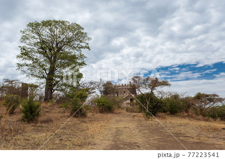 ruins of Guzara royal palace, Ethiopia Africa ruins of Guzara royal palace, Ethiopia Africa 77223541