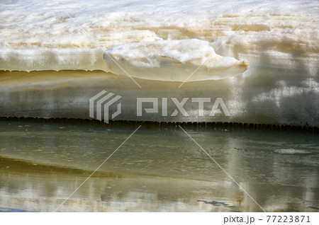 A thick layer of ice lies on the shore. Melting of ice on the river has begun. Water drops 77223871