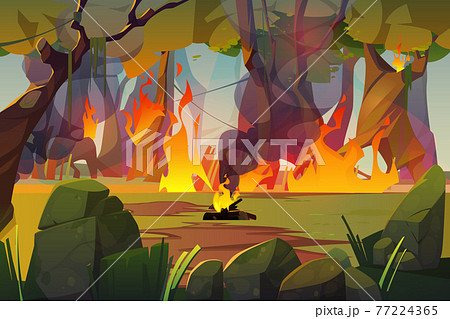 Fire in camping and burning forest, wildfire Fire in camping and burning forest, wildfire 77224365