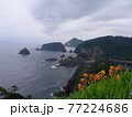 海にせり出した半島 77224686