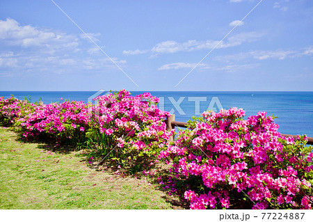 古房地公園　茨城県日立市 77224887