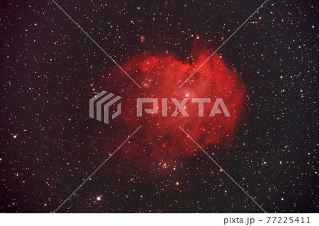NGC2174_2175　モンキー星雲 77225411